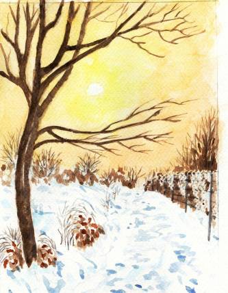 ambiance_hivernale_29.12.2024.jpg