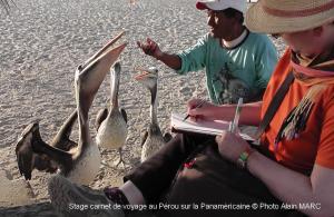 Stage carnet de voyage au Pérou sur la Panaméricaine, Alain MARC 2014