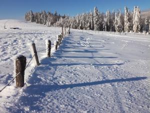 En ski nordique en Aubrac